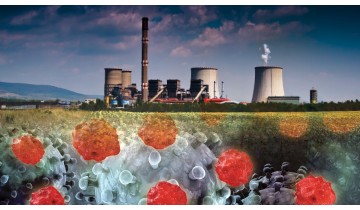 Environmental Toxins and Cancer Risk